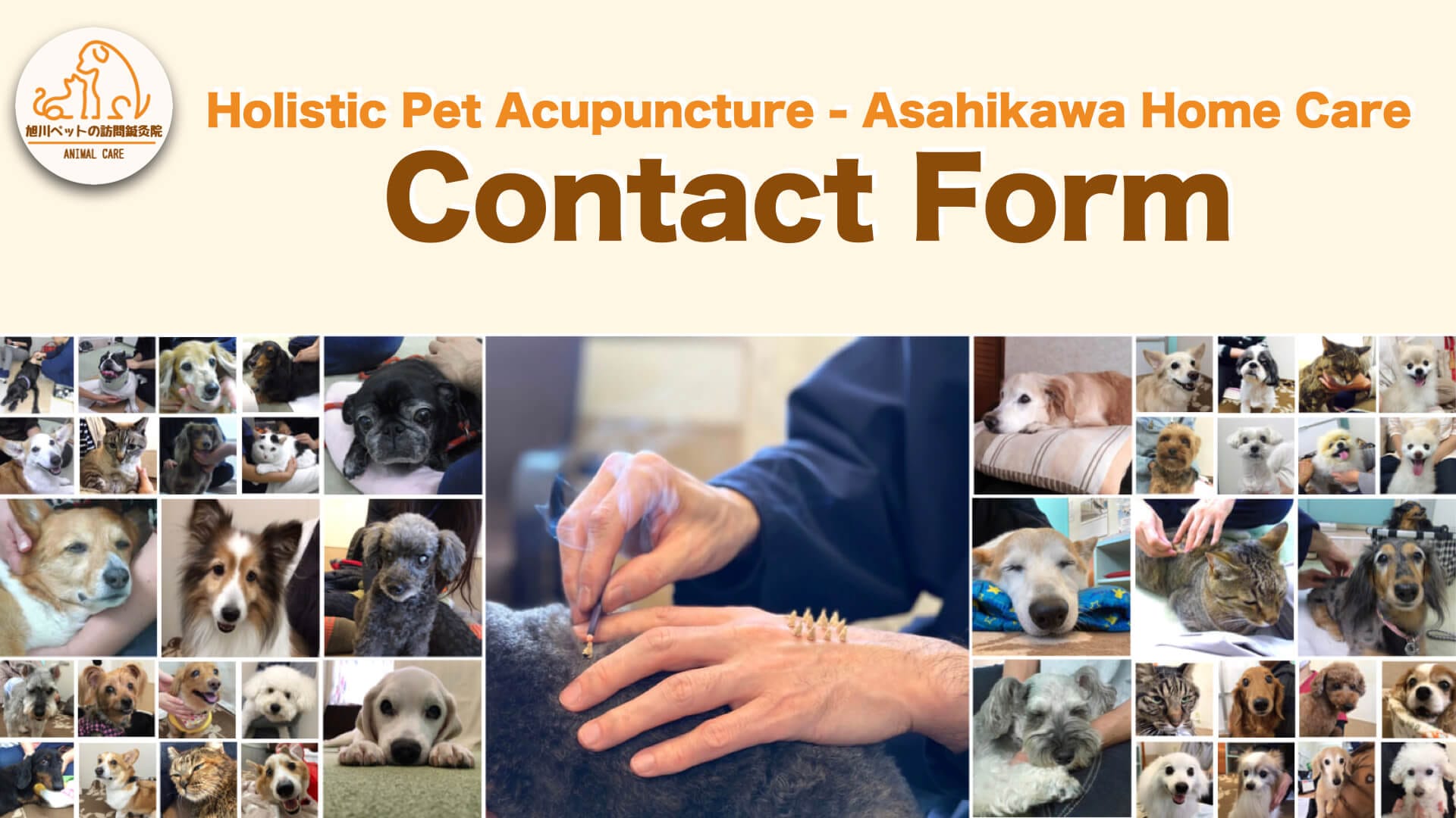 Contact Form | Holistic Pet Acupuncture - Asahikawa Home Care